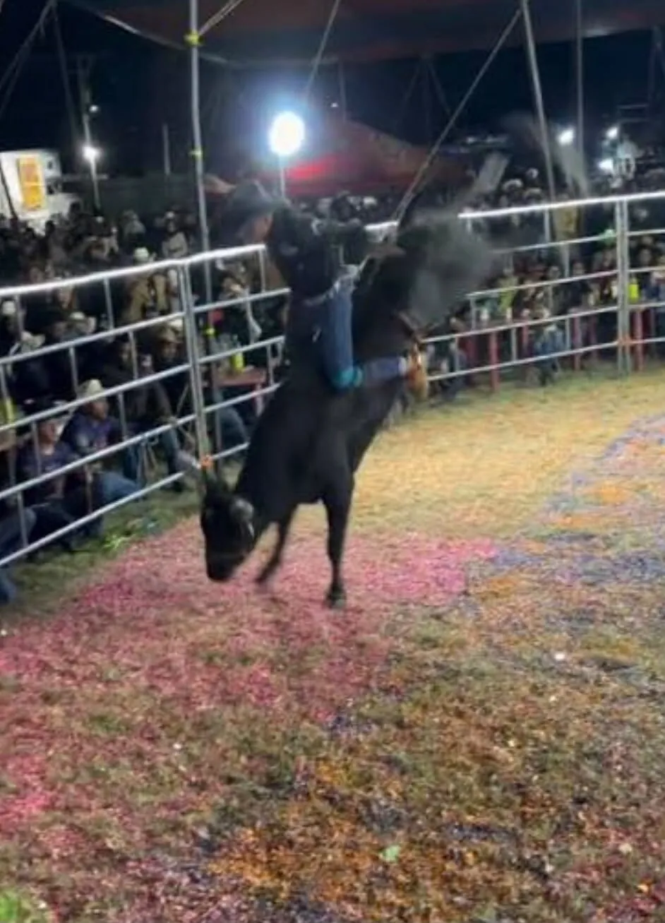 Jinete y toro saltando entre confeti frente al público del ruedo